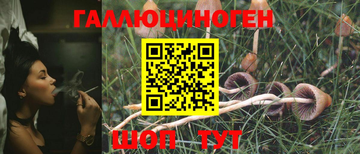 Пенза  Псилоцибиновые грибы Cubensis  Вход с VPN  Галлюциногенные грибы MAGIC MUSHROOMS 